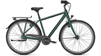 Raleigh Devon HS KOMBUGREEN MATT