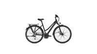 Raleigh Donnington MAGICBLACK MATT