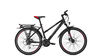 Raleigh Funmax Disc Trapez BLACK MATT