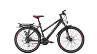 Raleigh Funmax Disc Trapez BLACK MATT