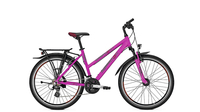 Raleigh Funmax Trapez DEEPMAGENTA MATT