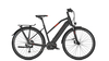 Raleigh Kent 9 13, 4 Ah Trapez MAGICBLACK MATT