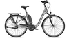 Raleigh Kingston 7 TORONTOGREY MATT