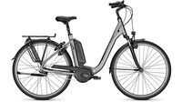 Raleigh Kingston 7 TORONTOGREY MATT