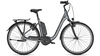 Raleigh Kingston 8 FL SHADOWGREY MATT