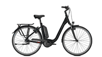 Raleigh Kingston 8 RT MAGICBLACK MATT