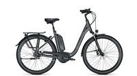 Raleigh Kingston 8 XXL RT GRANITEGREY MATT