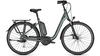 Raleigh Kingston 9 TECHGREEN GLOSSY