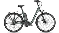 Raleigh Kingston 9 TECHGREEN GLOSSY