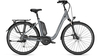 Raleigh Kingston 9 VOLCANOGREY GLOSSY