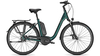 Raleigh Kingston Premium FL KOMBUGREEN MATT