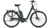 Raleigh Kingston Premium RT KOMBUGREEN MATT