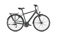 Raleigh Road Classic 24 DIAMONDBLACK MATT