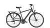 Raleigh Road Classic 24 DIAMONDBLACK MATT