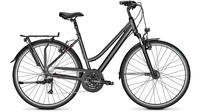 Raleigh Road Classic 24 Trapez DIAMONDBLACK MATT