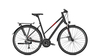Raleigh Rushhour 3.0 Trapez MAGICBLACK MATT