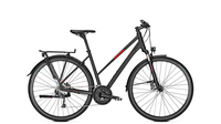 Raleigh Rushhour 3.0 Trapez MAGICBLACK MATT