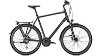 Raleigh Rushhour 4.0 XXL PHANTOMGREY MATT