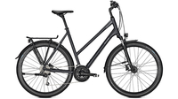 Raleigh RUSHHOUR 4.0 XXL TR PHANTOMGREY MATT