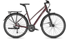 Raleigh Rushhour 7.0 MAHAGONYRED MATT