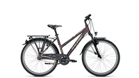 Raleigh Schoolmax Trapez DEEPPURPLE MATT