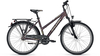 Raleigh Schoolmax Trapez MYSTYPURPLE MATT