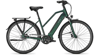 Raleigh Sheffield 8 TR KOMBUGREEN MATT