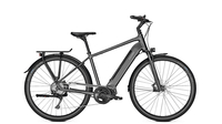 Raleigh Sheffield 9 15 Ah GRANITEGREY MATT