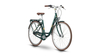 Raymon ClassicRay 2.0 Wave MINT/GOLD GLOSS