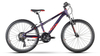 Raymon FourRay 1.0 PURPLE METALLIC/RED