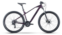 Raymon HardRay Seven 2.0 WINE METALLIC/BLACK