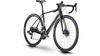 Raymon RaceRay 10.0 BLACK/GOLD/GREY GLOSS