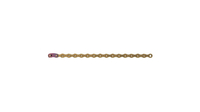 SRAM PC XX1 Eagle Kette GOLD