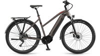 Winora Sinus iX12 TR METALLIC SAND MATT