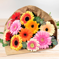 12 bunte Gerberas in schöner Papiertüte