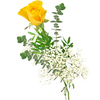 Einzelne gelbe Rose