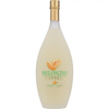 Bottega Meloncino Italienischer Likör 0, 5 L 28% vol