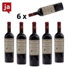 Doppio Passo Primitivo IGT 6 x 0, 75 L 13% vol