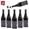 Doppio Passo Primitivo Salento IGT 6x 0, 75 L 13% vol