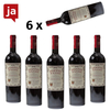 Doppio Passo Puglia Primitivo 6 x 0, 75 L 13% vol