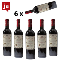 Doppio Passo Puglia Primitivo 6 x 0, 75 L 13% vol