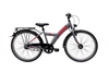 ARCONA ARCONA ALU ND,  7 Gang Nabenschaltung,  Jungenfahrrad,  Banana,  Modell 2019,  24 Zoll,  shale-grey matt,  shale-grey matt,  36 cm