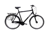 ARCONA XXL PLUS,  7 Gang Nabenschaltung,  Herrenfahrrad,  Diamant,  Modell 2019,  28 Zoll,  arrant-black matt,  arrant-black matt,  64 cm