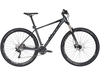 BULLS Copperhead 2 29,  30 Gang Kettenschaltung,  Herrenfahrrad,  Hardtail,  Modell 2020,  29 Zoll,  grey matt,  grey matt,  41 cm