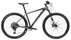 BULLS Copperhead 3 RS 29,  12 Gang Kettenschaltung,  Herrenfahrrad,  MTB,  Modell 2019,  29 Zoll,  grau/schwarz matt,  grau/schwarz matt,  51 cm