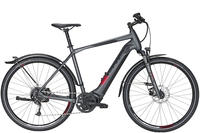 BULLS Cross Flyer Evo (400 Wh),  9 Gang Kettenschaltung,  Herrenfahrrad,  Diamant,  Modell 2020,  28 Zoll,  grey matt,  grey matt,  45 cm