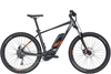 BULLS LT CX 29 (500 Wh),  9 Gang Kettenschaltung,  Herrenfahrrad,  Hardtail,  Modell 2020,  29 Zoll,  grey matt,  grey matt,  60 cm