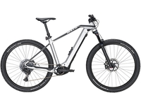 BULLS Sonic EVO 2 29 (625 Wh),  12 Gang Kettenschaltung,  Herrenfahrrad,  Hardtail,  Modell 2020,  29 Zoll,  silver,  silver,  40 cm