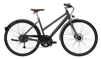 BULLS Urban 24S,  24 Gang Kettenschaltung,  Damenfahrrad,  Trapez,  Modell 2019,  28 Zoll,  grau matt,  grau matt,  54 cm