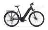 E-Bike Manufaktur 13ZEHN 600Wh,  10 Gang Kettenschaltung,  Damenfahrrad,  Trapez,  Modell 2019,  28 Zoll,  schwarz matt,  schwarz matt,  50 cm